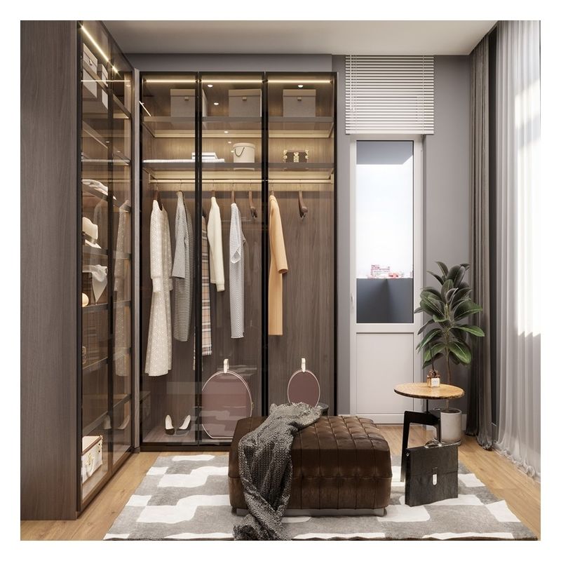 Elegante guarda-roupa de vidro com luz LED para desenhos do cliente